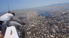 Zarážajúci objav: V haldách smetí na hladine oceánov sa darí viacerým malým živočíchom