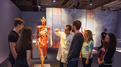 Do Bratislavy pricestuje výstava odhaľujúca všetky tajomstvá ľudského tela - Body The Exhibition