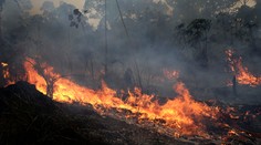 Bolsonaro súhlasí s prijatím zahraničnej pomoci na boj s požiarmi v Amazónii