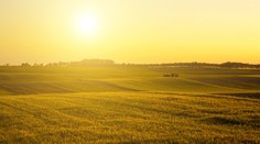 Horúčavy vyvrcholia v piatok, najviac to pocítia ľudia na západnom Slovensku