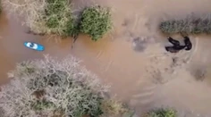 Muž na paddleboarde zachránil štyri kone pred utopením. Všetko zachytil dron