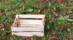 Polícia už zistila, kto ponechal na zastávke v Bežovciach novorodenca v drevenej krabici