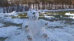 Na Spiši nemajú strážneho psa, ale medveďa