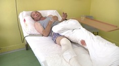 Medveď zahryzol hubárovi do nohy. Muž teraz leží v nemocnici