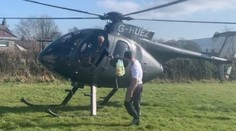 Po sendvič štýlovo. Muža prekvapil hlad, po jedlo si doslova zaletel