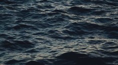 Vedci sú o krok bližšie k rozlúšteniu počiatkov vody na Zemi. Kľúčom majú byť asteroidy