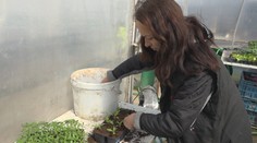 Zdá sa, že je skoro, no opak je pravdou. Záhradkári sa už starajú o zasadenú zeleninu