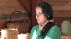 Mišu bodla osa: Spŕška nadávok ako v štvrtej cenovej
