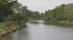 V okolí Moravy už vo veľkom lietajú komáre, zatiaľ neštípu. Má to jednoduché vysvetlenie