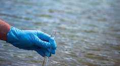 Kontaminácia potravín a studní: Na čo si dať pozor?