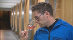 Degustátori či sládkovia sú ako na ihlách. Ak by prišli o niektorý zo zmyslov, zostali by bez práce