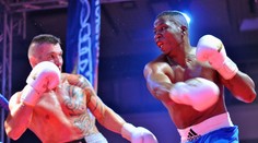 Tomi Kid Kovács sa stal novým šampiónom WBF v ťažkej váhe