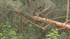 Na strednom Slovensku je naďalej bez elektriny 13 odberných miest