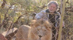 Muž sa počas opravovania plota chrbtom otočil k levom. Kruto na to doplatil