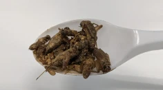 Netradičná diéta, ktorá vás prekvapí: Budete sa čudovať, aké jedlá odporúčajú šéfkuchári