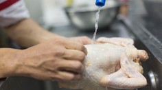 Kura pred jeho prípravou neumývajte. Môžete si tým narobiť viac škody než osohu