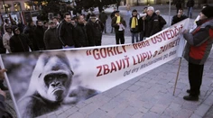 Prečítajte si list bývalého agenta, ktorý nahrával Gorilu