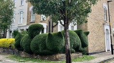 Architekt využíva svoje schopnosti netradičným spôsobom: Jeho kreativita v záhrade vás prekvapí