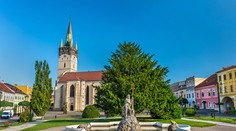 Títo poslanci sa dostali do zastupiteľstiev v krajských mestách