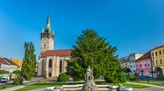 Títo poslanci sa dostali do zastupiteľstiev v krajských mestách
