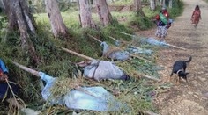 Hrozný masaker v Oceánii: Útočníci rozsekali aj tehotné ženy a deti