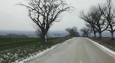 Cestu do Malých Ripnian lemujú desiatky hákových krížov