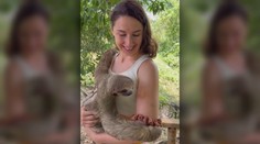 Kontakt s exotickými zvieratami je pre ľudí zábava, pre tvory však veľké utrpenie