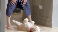 Dámy, kebyže sa pred vás postaví tento krásny model, tiež takto skončíte