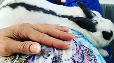 Slovenská spevačka zverejnila tesne pred pôrodom odvážnu fotku