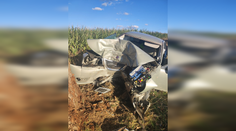 Tragédia na ceste medzi Šoporňou a Šintavou. Vodič neprežil silný náraz do stromu