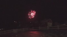 Ohňostroje si niektorí neodpustili ani v národných parkoch. Lesnú zver to môže aj zabiť