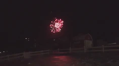 Ohňostroje si niektorí neodpustili ani v národných parkoch. Lesnú zver to môže aj zabiť