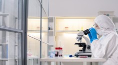 Severovýchodne od Paríža zistili vtáčiu chrípku. Ide o vysoko patogénny variant