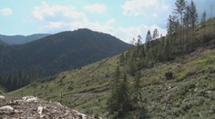 Lesníci a ochranári na Slovensku nespolupracujú. Napätie vystupňovala nová kampaň