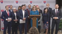 Demokratická platforma OĽaNO, Klus a Šeliga chcú presunúť odvolávanie vlády na január