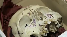 Do redakcie nám niekto poslal ľudskú lebku. Zisťovali sme, komu patrí