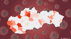 Na Slovensku pribudlo ďalších 8 pacientov s koronavírusom. Tu sú detaily