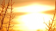 V týchto dňoch nás teší počasie. Koľko stupňov bude zajtra?