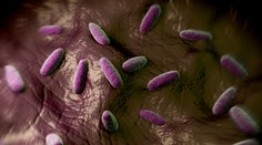 Rakovina sa možno bude dať čoskoro vyliečiť