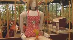 Ľudia majú vážnu konkurenciu, čašníkov a sprievodcov nahrádzajú humanoidi