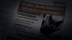 Najhľadanejší kocúr na Slovensku je zrejme Blau