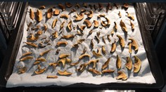 Pozrite si, ako sušiť huby v rúre tak, aby nesplesniveli a vydržali čo najdlhšie