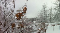 Kanadou sa prehnala zimná búrka. Krajinu zmenila na „ľadové kráľovstvo"