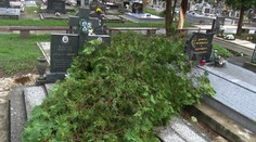 Búrka pri Veľkom Krtíši narobila obrovské škody. Strom zničil hroby na cintoríne