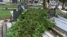 Búrka pri Veľkom Krtíši narobila obrovské škody. Strom zničil hroby na cintoríne