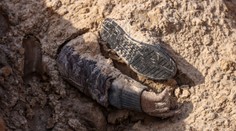 V Kyjevskej oblasti našli ďalší masový hrob s 900 ľuďmi