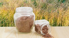 Dr. Bukovský sa zameral na sezamové semienka. Jeho rady sú prekvapivé