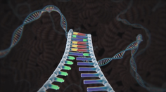 Takmer dvadsať rokov hľadali chýbajúce kúsky skladačky ľudského genómu. Vedcom sa to konečne podarilo