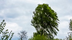 Východ potrápi silný vietor, pre tieto územia platia výstrahy