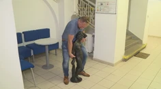 Bizarnejšia krádež sa často nevidí: Čech prešiel s lupom za dva dni iba 200 metrov